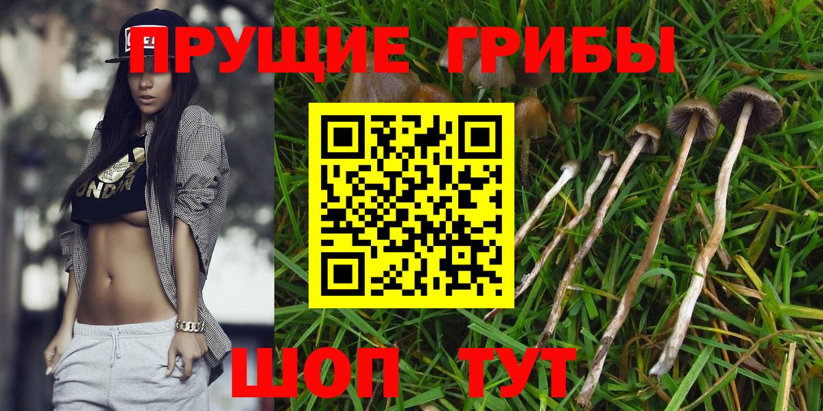 Псилоцибиновые грибы MAGIC MUSHROOMS  Вход с VPN  Ульяновск  Галлюциногенные грибы GOLDEN TEACHER 